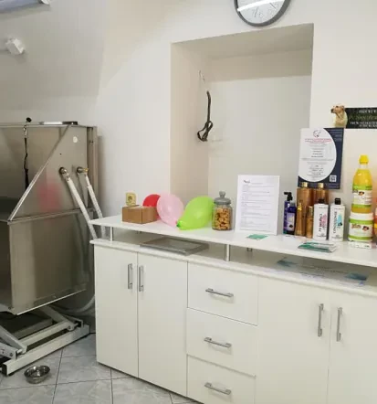 Pasji salon, nega psov