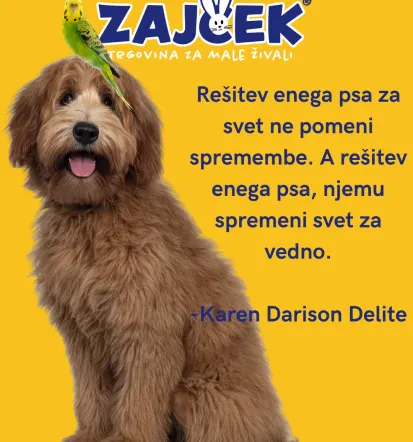 Trgovina za male živali, vabljeni v Krško, Posavje