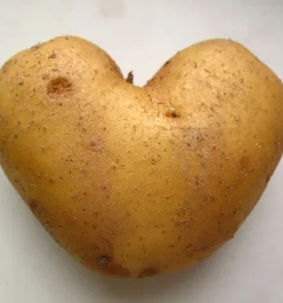 Ugoden krompir Pomurska