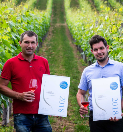 Vinska klet, degustacija vin