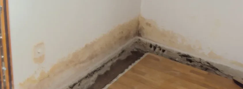 Hidroizolacija s prerezom vlažnih sten, Hidrorez d.o.o., Osrednja Slovenija