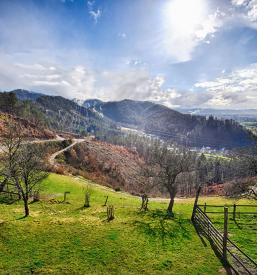 Turistična kmetija