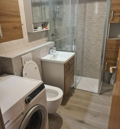 Adaptacija, prenova kopalnice, polaganje keramike