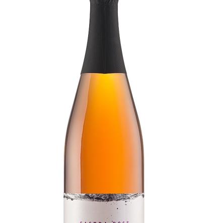 Nočitve na turistični kmetiji, degustacije vin Goriška