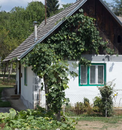 Prostor za zaključene družbe, muzej in gostinstvo