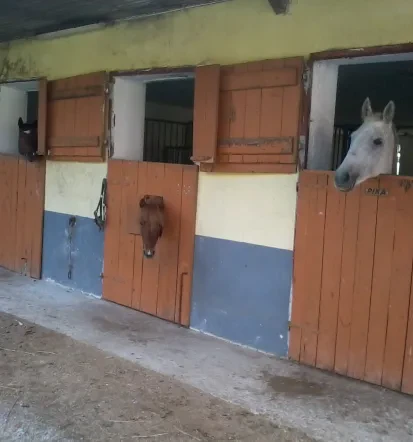 Ponudba apartmajev