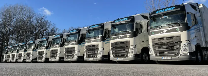 International pallet and refrigerated transport services