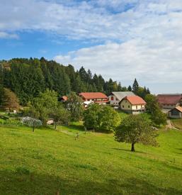 Turistična kmetija