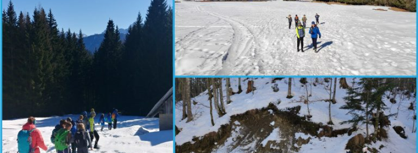 Planinsko društvo Žirovnica, Gorenjska