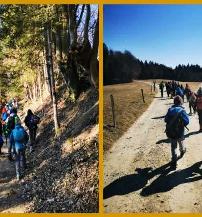 Planinsko društvo