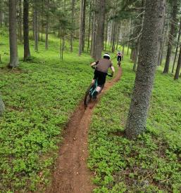 Mountain biking