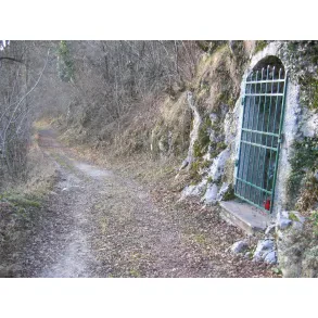 Jamarsko društvo Planina