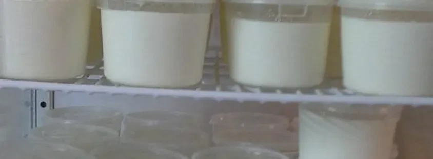 Domači mlečni izdelki Bovec, Ekološka kmetija Škander