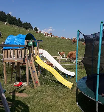 Zjutraj si lahko postrežete samopostrežni zajtrk