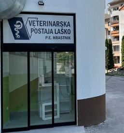 Sterilizacije, kastracije psov in mačk laško