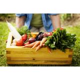 VEGETARIJANSKA IN VEGANSKA PREHRANA, SEMENKA, KORBAR DARKO S.P.