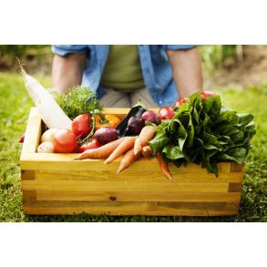 VEGETARIJANSKA IN VEGANSKA PREHRANA, SEMENKA, KORBAR DARKO S.P.