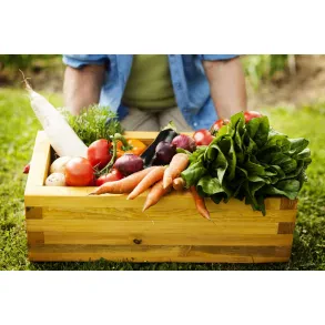 VEGETARIJANSKA IN VEGANSKA PREHRANA, SEMENKA, KORBAR DARKO S.P.