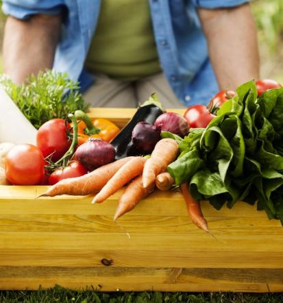 Dostava vegetarijanskih in veganskih jedi