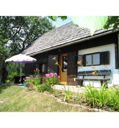 Počitniške hiše, apartmaji Bohinj