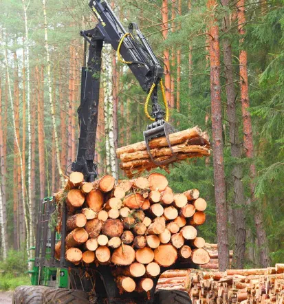 Posek, spravilo in dostava lesa