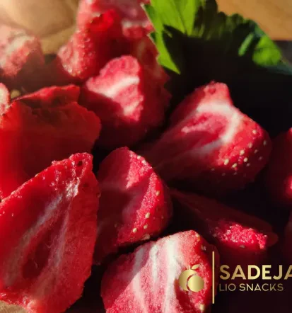 Liofilizirano sadje