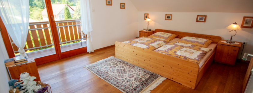 Apartma v naravi Mokronog, Sevnica, Trebnje, okolica