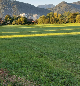 Arheološka izkopavanja, sondiranje, nadzor pri izkopavanjih Slovenija