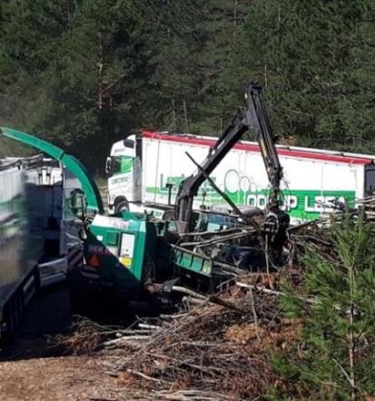 Za mednarodni transport lesa in odkup lesa smo za vas vedno na voljo