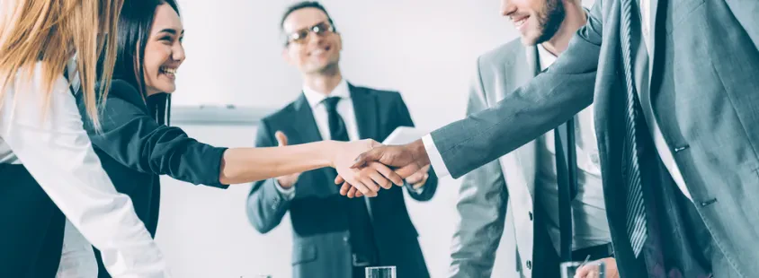 Pomoč pri iskanju kvalitetnega kadra Slovenija, WORKING SERVICE