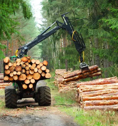 Spravilo in predelava lesa Slovenija in Hrvaška