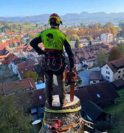 Obrezovanje in podiranje dreves