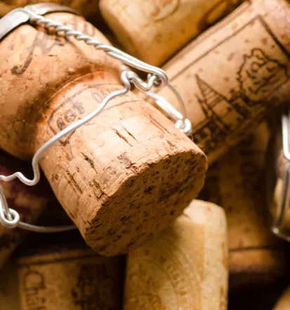 Poceni nakup arhivskih vin Slovenija