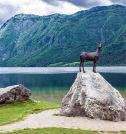 Vodenje po znamenitostih Slovenije