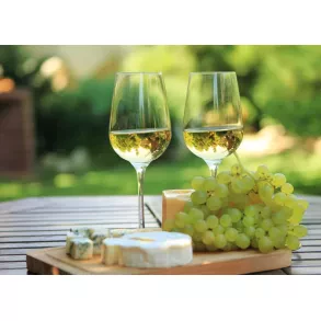 VINO VITIS, družba za proizvodnjo in kmetijske storitve, trgovino, promet, nastanitve, gostinstvo, najeme, svetovanje, posredovanje in storitve, d.o.o.