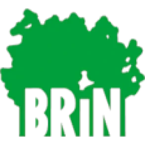 BRIN podjetje za predelavo lesa d.o.o., Brestanica