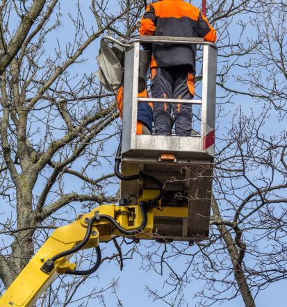 Kvalitetne storitve z avtokošaro Osrednja Slovenija in Dolenjska