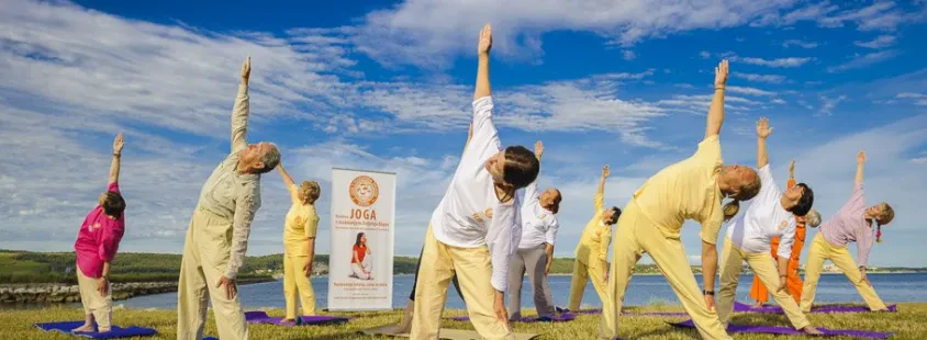 Joga za hrbtenico in sklepe Celje, Savinjska, DRUŠTVO JOGA V VSAKDANJEM ŽIVLJENJU