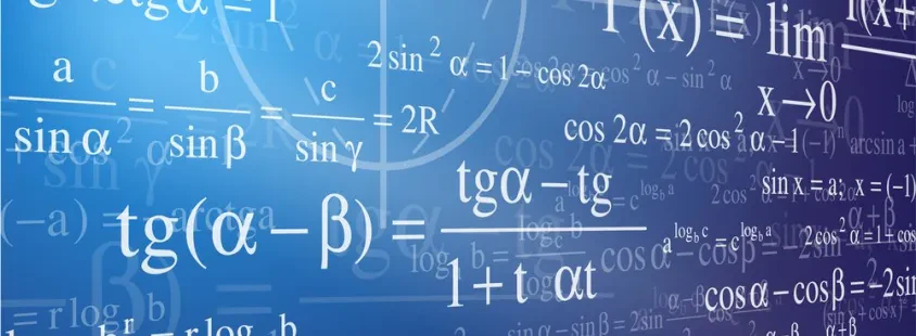 Kvalitetne inštrukcije matematike in fizike Gorenjska, Funkcija, Robert Londero s.p.