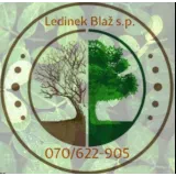 Blaž Ledinek s.p.