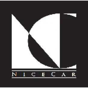 NICECAR, kleparske in ličarske storitve, d.o.o.