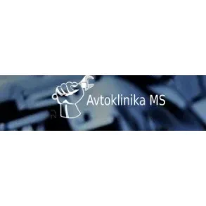 AVTOKLINIKA MS, popravila in vzdrževanje motornih vozil, IGOR PETROVIĆ S.P.