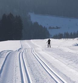 Tek na smučeh, nordijsko rolanje in rolkanje