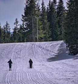 Tek na smučeh, nordijsko rolanje in rolkanje