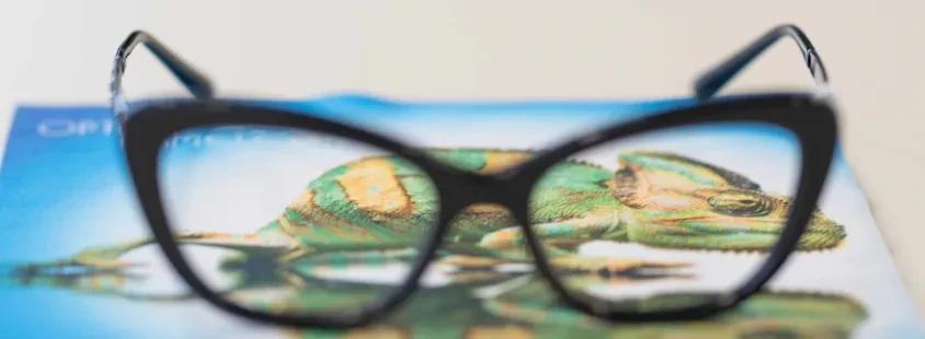 Ugodni okulistični pregledi Maribor, Optika Kameleon