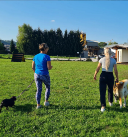 Kvalitetno šolanje in vzgoja psov Osrednja Slovenija