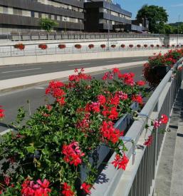 Izvajanje čiščenja, rednega vzdrževanje objektov Celje