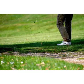 Golfek, spletna trgovina, d.o.o.