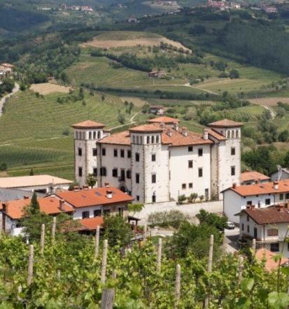 Muzejske zbirke si lahko ogledate tudi izven delovnega časa.