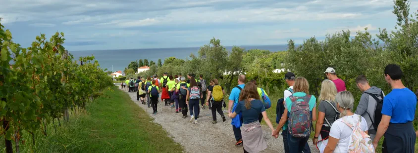 Posebni program za vzgojo otrok in odraslih z duševno motnjo Slovenija